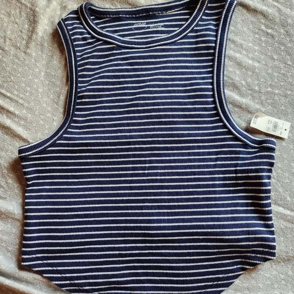 Aerie Blue and White Sleeveless Crop Tank